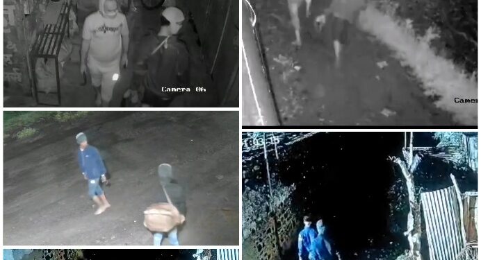 दरोडेखोरांचा पुन्हा धुमाकुळ, 5 जणांची सशस्त्र टोळी CCTv मध्ये कैद, सोने चोरून थुकून गेले – धाराशिव पोलिसांना आव्हान