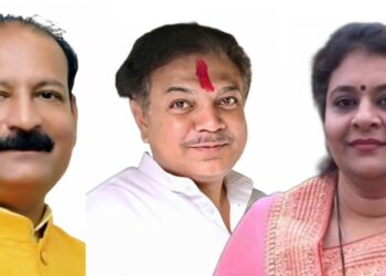 हल्लाबोल – घराणेशाही, राष्ट्रवादी व कमळ चिन्ह नसल्याने लोकसभेत महायुतीचा पराभव