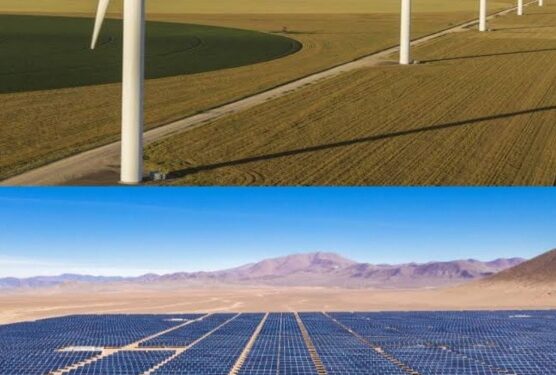 पवनचक्की व सौर ऊर्जा प्रकल्प – धाराशिव जिल्ह्यात कंपन्यानी करोडोंचा महसुल बुडवीला, जिल्हाधिकाऱ्यांनी सरकारला मागविले मार्गदर्शन, तहसीलदारांना काढले पत्र