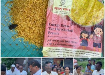 पोषण आहारात तळलेला बेडूक – धाराशिव येथील घटना, अधिकाऱ्यांनी भेट देत केला पंचनामा