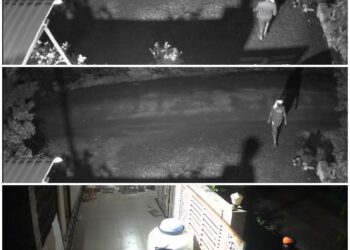 चोरीचा प्रयत्न, आरडाओरड करताच चोरटा फरार, cctv समोर – धाराशिव जिल्ह्यातील घटना