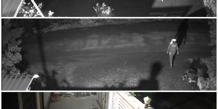 चोरीचा प्रयत्न, आरडाओरड करताच चोरटा फरार, cctv समोर – धाराशिव जिल्ह्यातील घटना