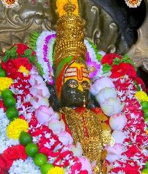 प्रसाद – तुळजाभवानी देवीच्या भक्तांना मिळणार तुपाच्या लाडु, निविदा प्रसिद्ध, लवकरच अंमलबजावणी