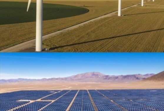 गायरान जमिनी, भुसंपादित क्षेत्राचा वापर – पवनचक्की व सोलार कंपन्याची मनमानी, महसुल विभागाचे दुर्लक्ष 