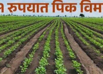 केंद्रबिंदु हेळंब – धाराशिव येथील बोगस पीक विमा प्रकरणी पुरवणी दोषारोप दाखल होणार, 19 आरोपींना  अटक